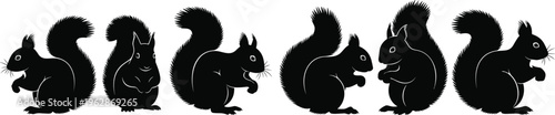 Collection of squirrel silhouettes in different poses, cute woodland animal set isolated for nature illustration, wildlife design, and graphic use