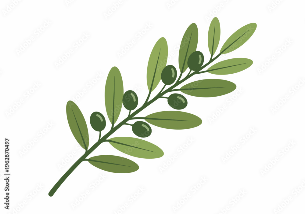 Obraz premium Olive branch illustration with green leaves and olives, symbolizing peace and nature's bounty, perfect for graphic design and natural themes