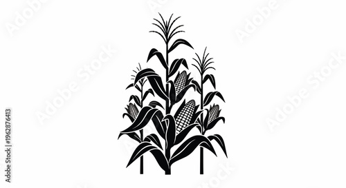 Tropical plants with long leaves in a decorative arrangement