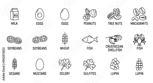 Common food allergens and ingredients list in simple line icons