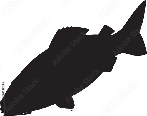 Black fish silhouette swimming in water on white background