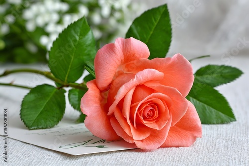 Orange rose and loving message on greeting card