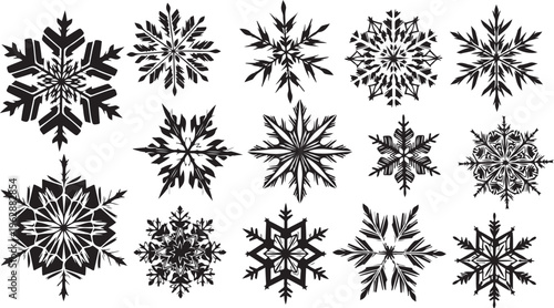 Collection of unique black snowflakes on white background illustration
