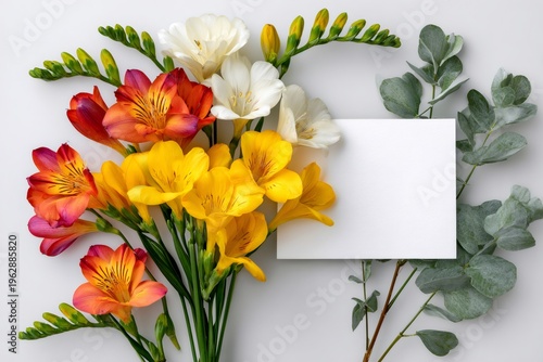 Colorful freesia flowers bouquet and blank card