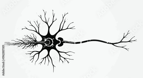 A detailed, stylized drawing illustrates the structure of a single biological neuron with its central cell body and extended dendrites.