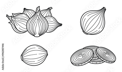 Onions whole and sliced plus bunch of onions isolated on transparent background vector