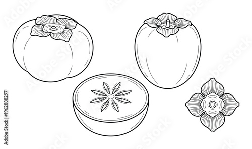 Persimmon fruit set with whole fruit, cut fruit, and calyx on transparent background