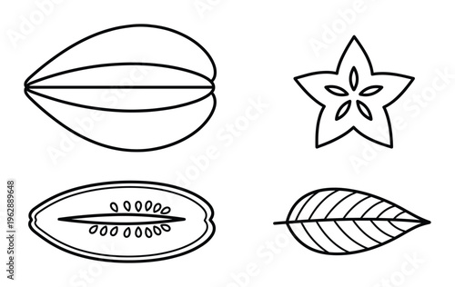 Star fruit and its slices illustration hand drawn sketch on transparent background outline