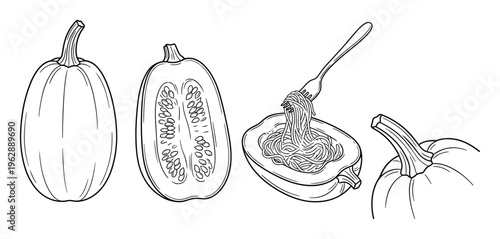 Spaghetti squash with fork inside half plus whole squash and stem isolated on transparent background