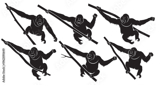 Multiple orangutan vector graphics illustrating different primates climbing and swinging on branches