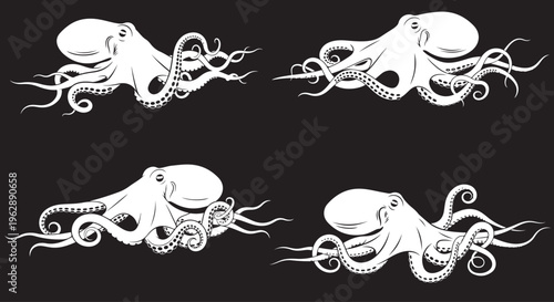 Collection of four white marine octopus vector graphic illustrations for design projects