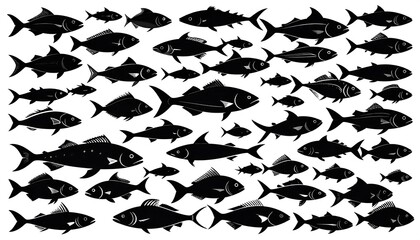 Black silhouettes of numerous fish of varying sizes and shapes, arranged randomly