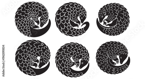 Vector illustration featuring six stylized pangolins curled into a defensive ball design.