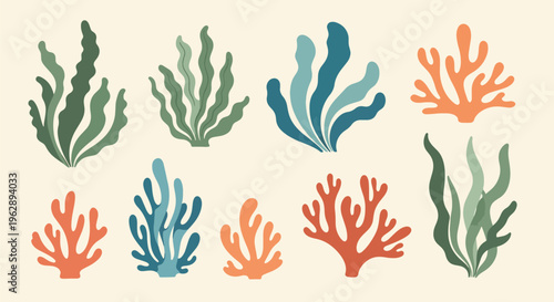 Coral reef seaweed plants in various colors and shapes