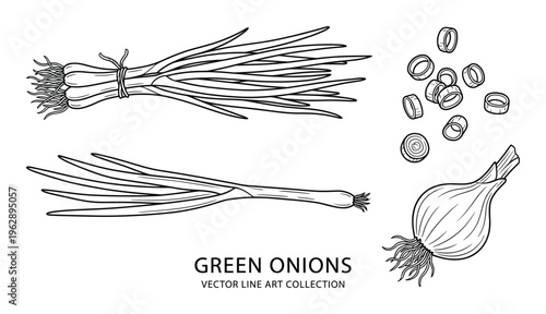 Green onions vector line art collection food ingredients for culinary dishes fresh organic vegetables and herbs isolated on white