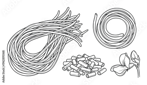 Hand drawn pasta spaghetti and linguine bundle isolated on transparent background outline