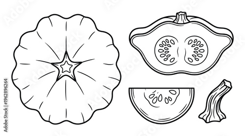 Pattypan squash vector line art collection whole and sliced vegetable unusual shape with seeds isolated natural healthy food ingredient