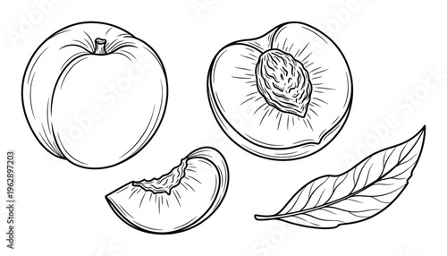 Set of ripe peaches with whole fruit cut in half with seed and single leaf isolated
