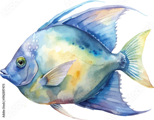 Watercolor Angelfish Illustration, Reef Fish Clipart, isolated on white background
