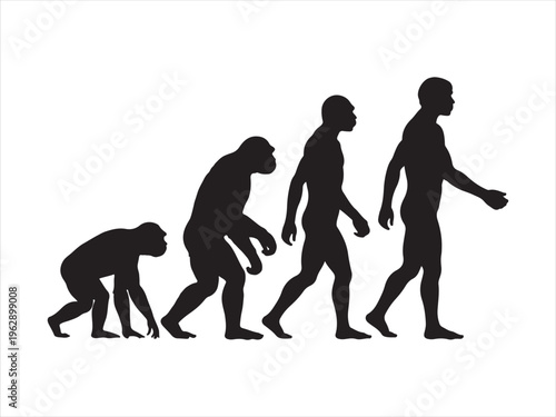 A black silhouette graphic depicting the gradual biological evolution of humans from primates Vector, illustration