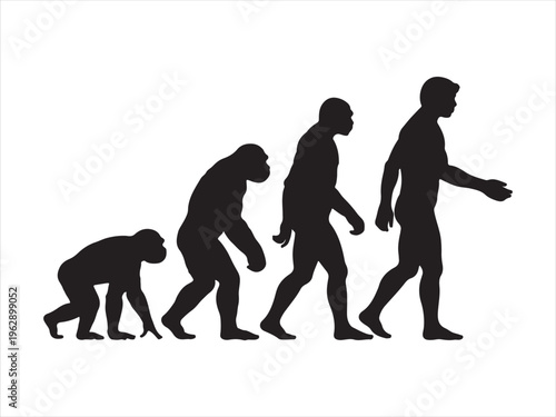 A black silhouette graphic depicting the gradual biological evolution of humans from primates Vector, illustration