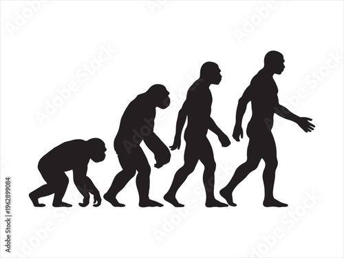 A black silhouette graphic depicting the gradual biological evolution of humans from primates Vector, illustration