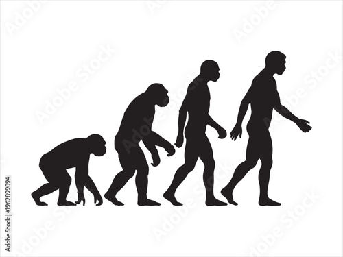 A black silhouette graphic depicting the gradual biological evolution of humans from primates Vector, illustration