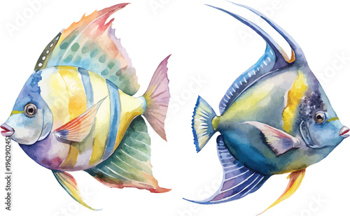 Hand-Painted Angelfish Watercolor, Exotic Aquarium Fish Art, Isolated Vector Clipart