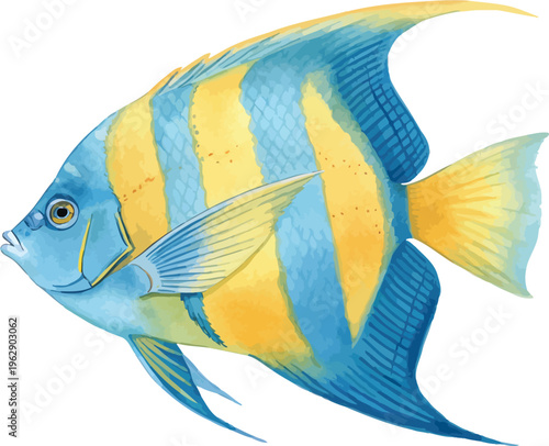 Watercolor Angelfish Illustration, Tropical Fish Clipart, vector isolated on white background