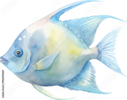 Watercolor Angelfish Illustration, Tropical Fish Clipart, isolated on white background