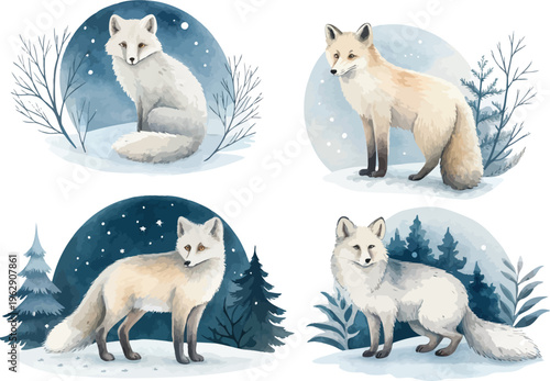 set of Hand-Painted Arctic Fox Watercolor, Snow Wildlife Clipart, Isolated Vector Illustration