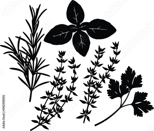 Herbs Silhouette Isolated on White Background