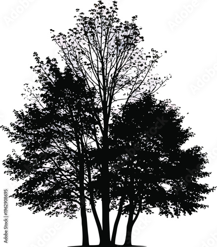 Black Tree Silhouette Isolated on White Background