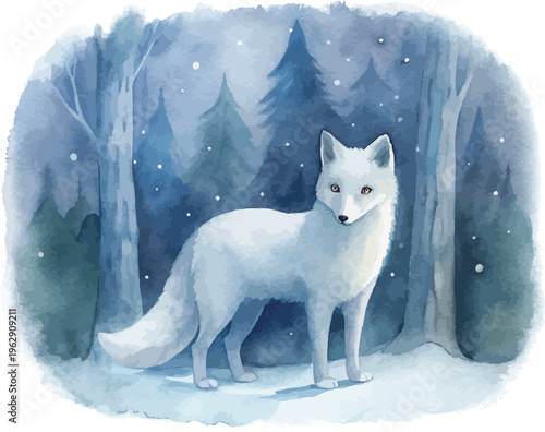 Watercolor Arctic Fox Clipart, Winter Animal Illustration, Isolated on White