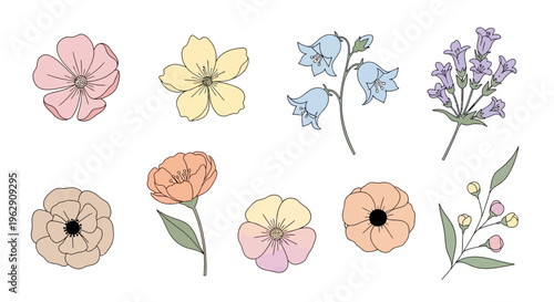 Elegant Set of Hand-Drawn Floral Illustrations in Pastel Colors Featuring Various Garden Flowers and Botanical Elements on a Clean White Background Vector Art.