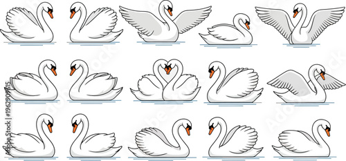 Elegant white swan poses and silhouettes in a vector set