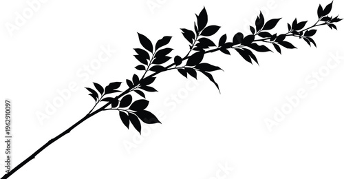 Black Leafy Branch Silhouette on White Background