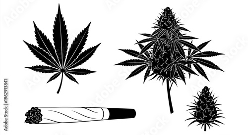 Black and white illustration of cannabis leaves bud and a joint