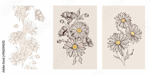 Floral sketches of daisies arranged in a triptych composition