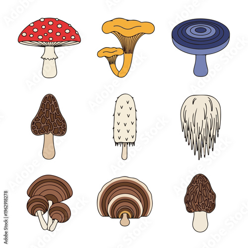 A collection of nine distinct mushroom illustrations, showcasing different shapes, colors, and textures of various fungi species.