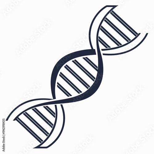 A dna double helix structure