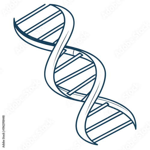 A dna double helix structure