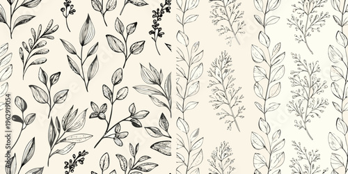 Detailed botanical illustration of various leaves and floral sprigs