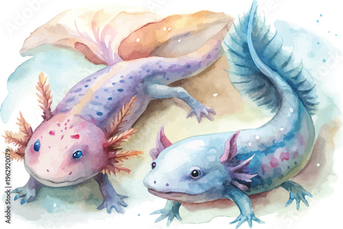 Watercolor Axolotl Clipart, Adorable Amphibian Character, Isolated on White