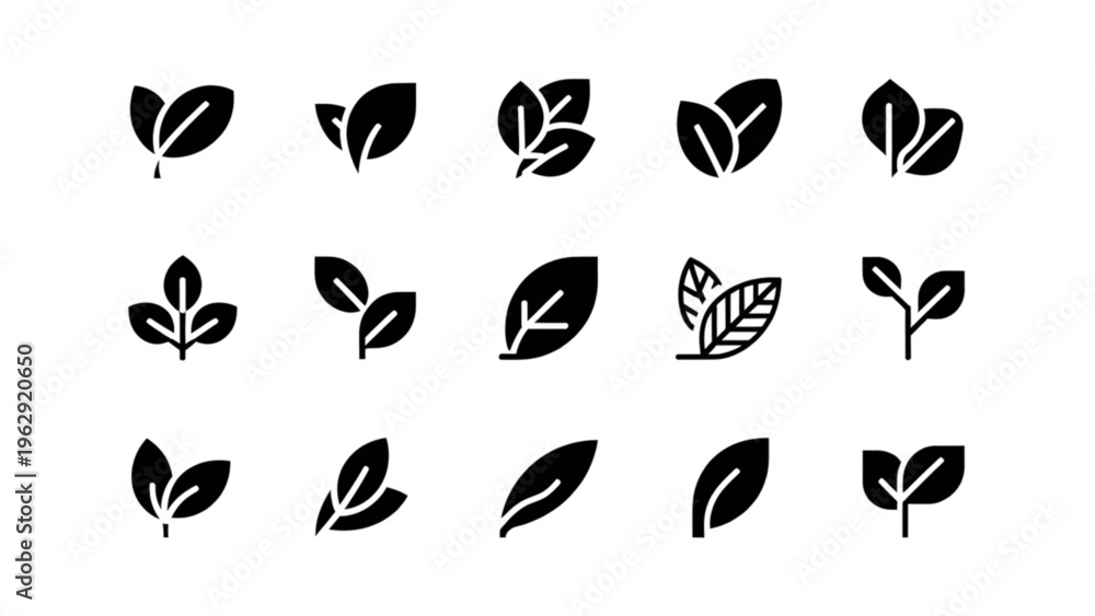 Fototapeta premium Diverse collection of stylized leaf designs showcasing various natural leaf shapes and forms in black and white contrast Vector