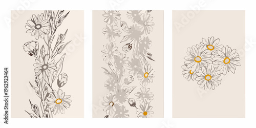 Three botanical illustrations of daisy like flowers in vertical panels