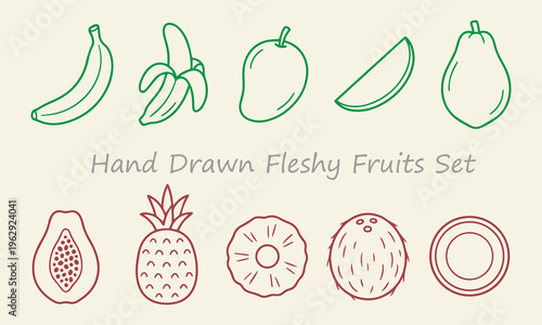 Fleshy fruit set collection includes hand drawn banana mango papaya pineapple coconut line art icons for botanical food design projects organic nature element graphics on simple background.