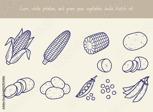 Doodle sketch set of corn potatoes and green peas vegetables whole cobs sliced and in pods with loose peas isolated on light background.