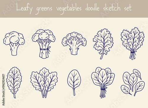 Set of leafy greens vegetables doodle sketch icons including broccoli kale spinach and lettuce isolated on white background hand drawn organic superfood collection for healthy lifestyle menu.