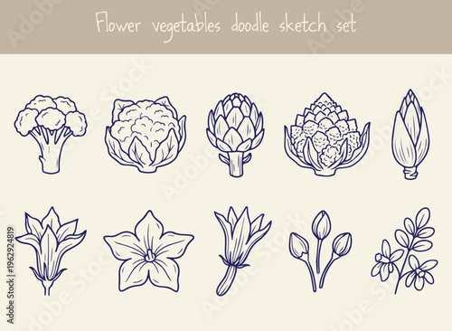 Set of flower vegetables doodle sketch icons including cauliflower artichoke and broccoli isolated on white background hand drawn edible flower collection for healthy organic cooking menu.